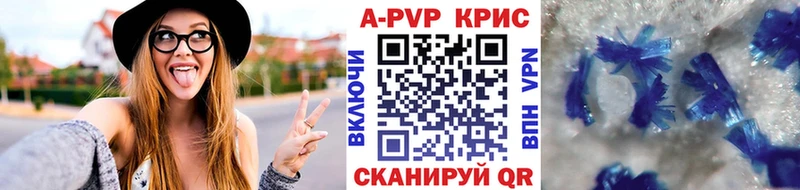 A PVP СК  Вологда 