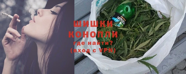 дживик Белая Холуница
