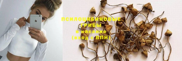 дживик Белая Холуница