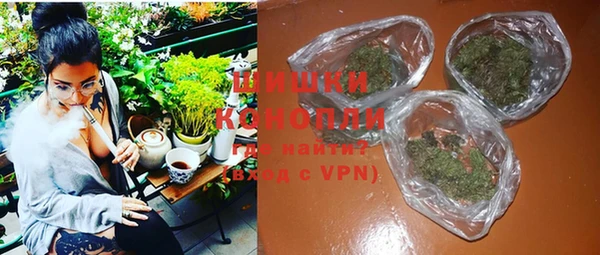 гидра Новозыбков
