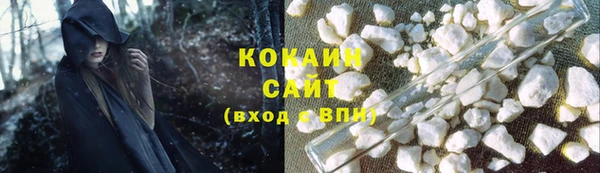 гидра Новозыбков