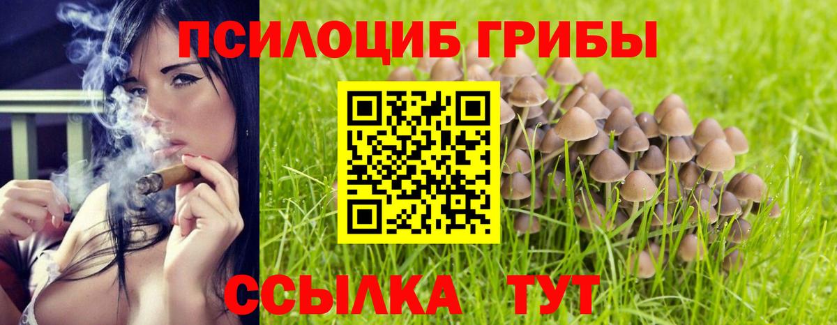 Галлюциногенные грибы GOLDEN TEACHER Вологда