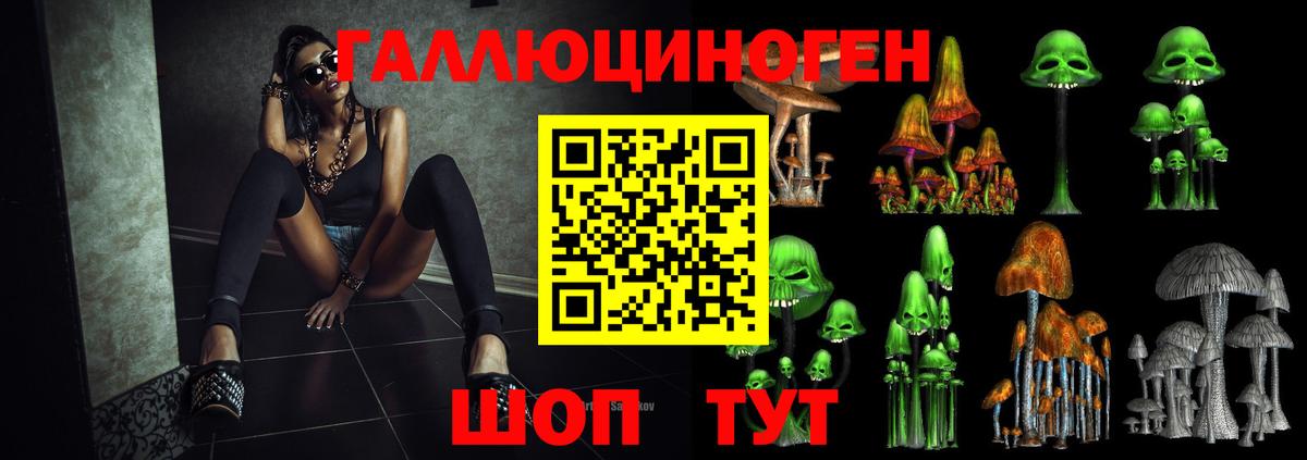 Вологда  Псилоцибиновые грибы прущие грибы  Вход с VPN 